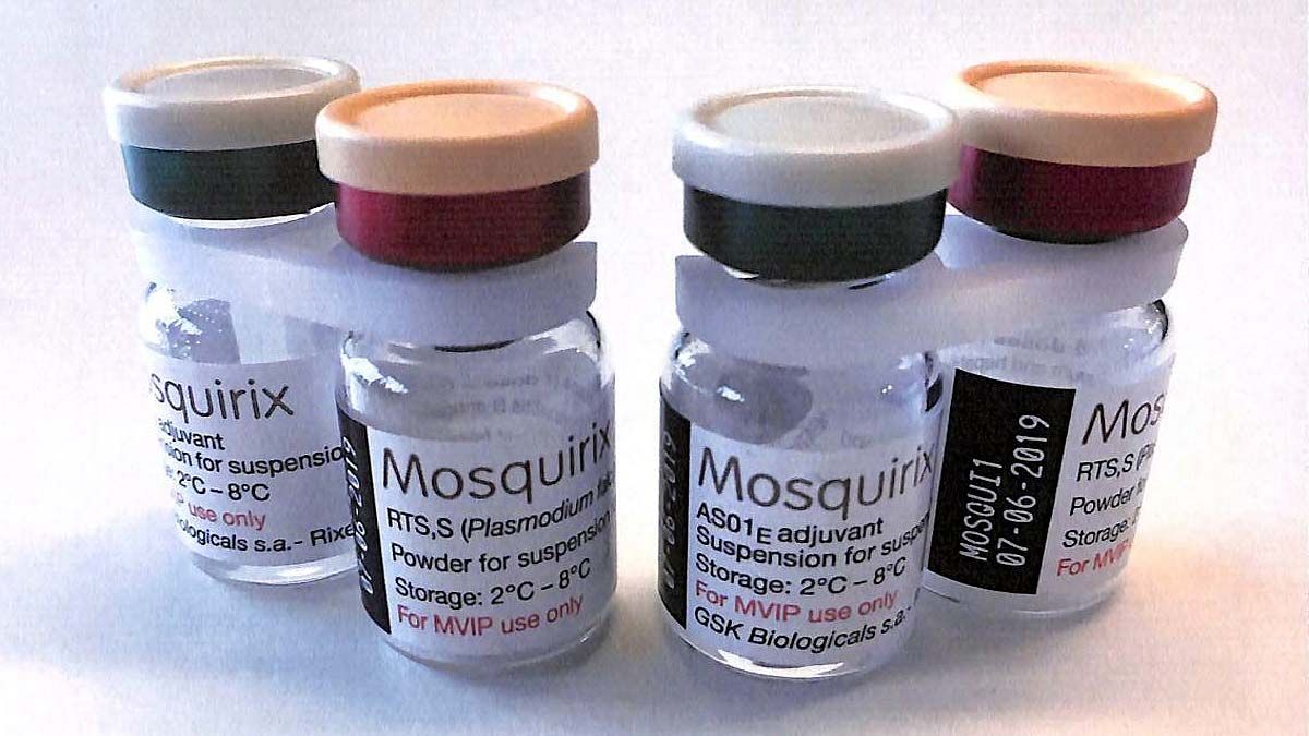 Breezy Explainer: All about Mosquirix, the first malaria vaccine to get WHO backing