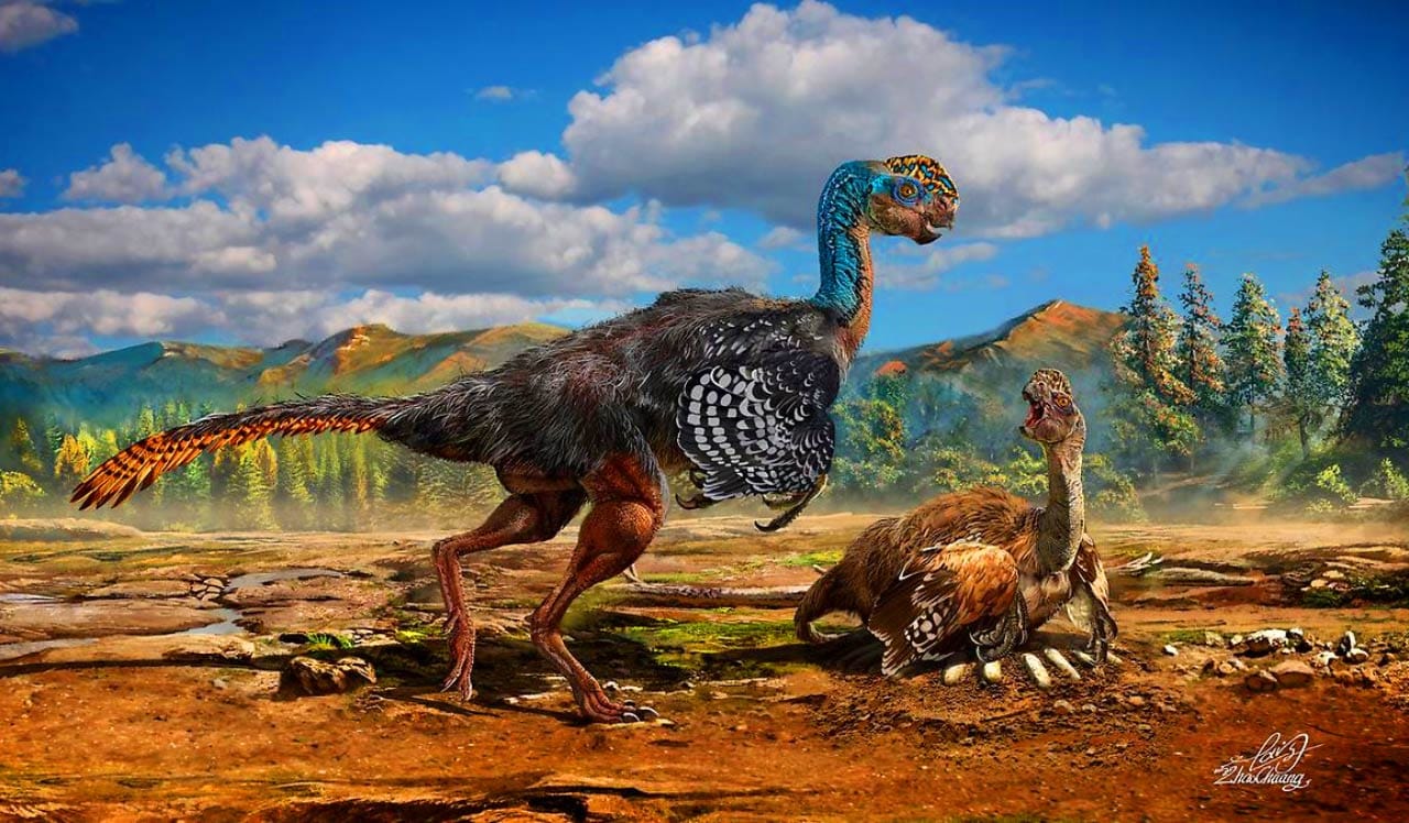 A 70 million-year-old dinosaur species that slept like birds has been discovered by scientists
