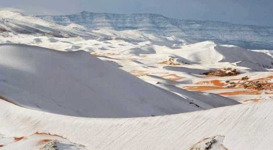 Snowfall in Sahara Desert