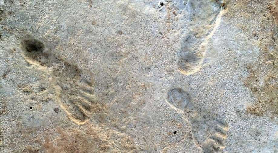 Ancient footprints suggest humans arrived in the Americas during the Ice Age