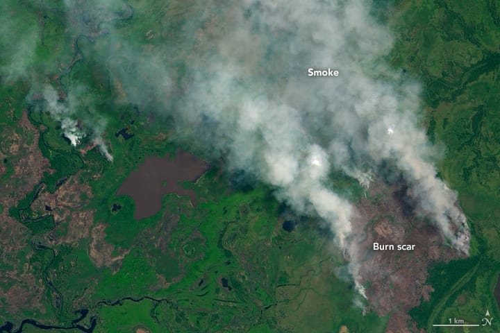 The devastating forest fires of Pantanal 
