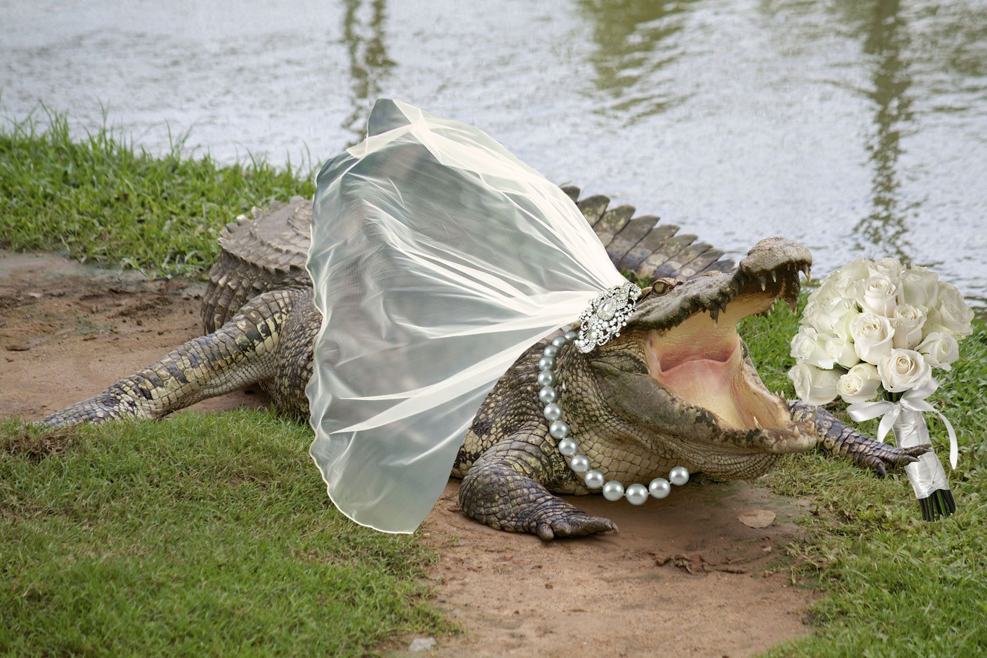 Mexican indigenous leader marries alligator bride in the astonishing ceremony