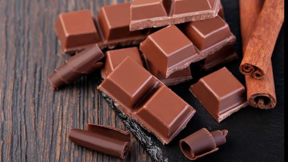 World’s largest chocolate factory suspends production after detecting salmonella