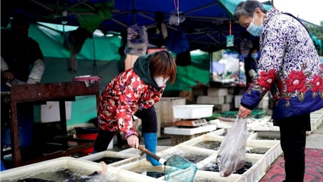 Wuhan seafood vendor was the first COVID-19 case in the world: Study