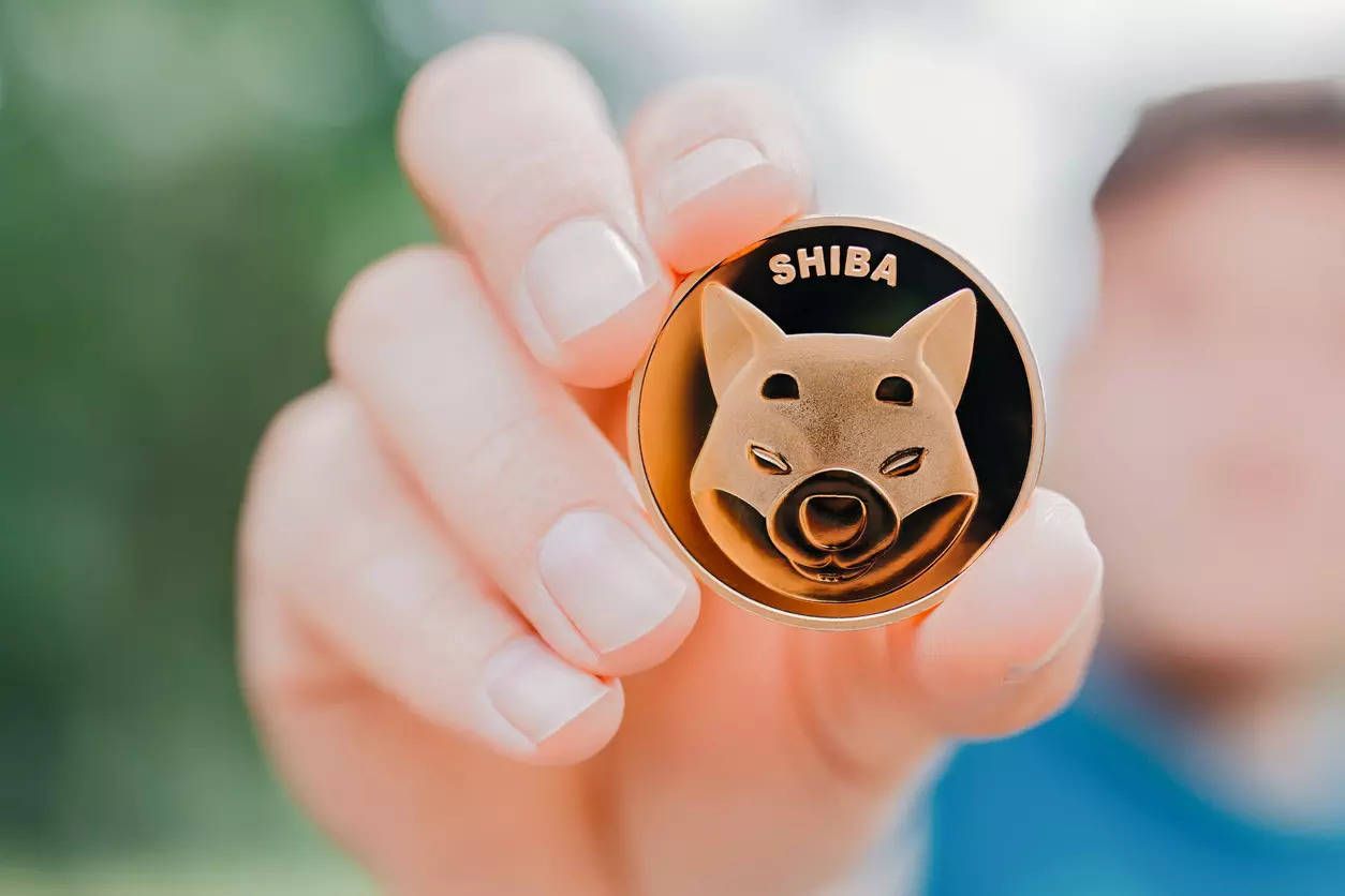 Shiba Inu coin: Meme coin grows by 155% now world's 8th largest crypto
