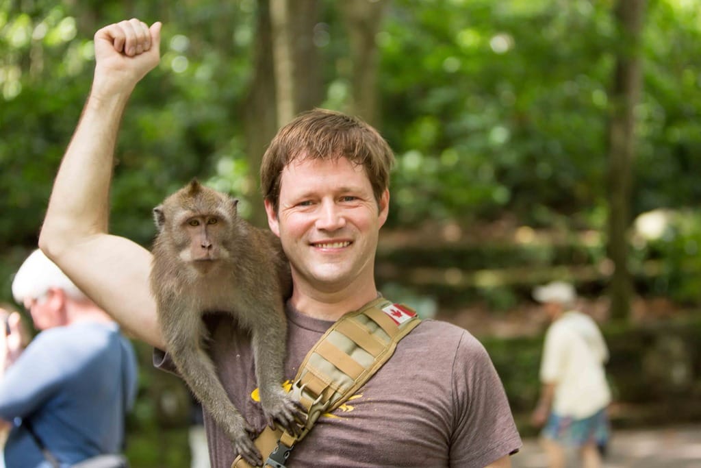 it is a common sight to see tamed monkeys sitting on people's shoulders to coax a few snacks.