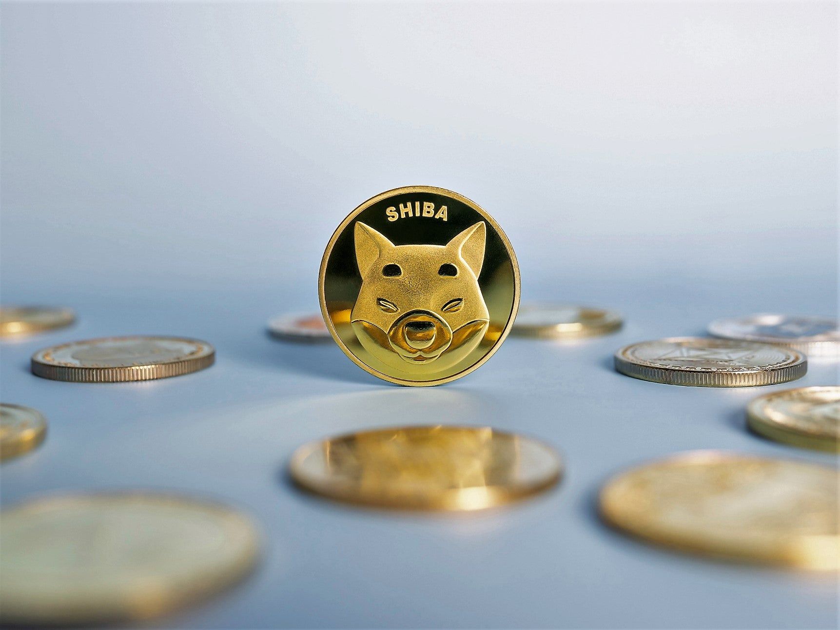 Shiba Inu coin is on fire