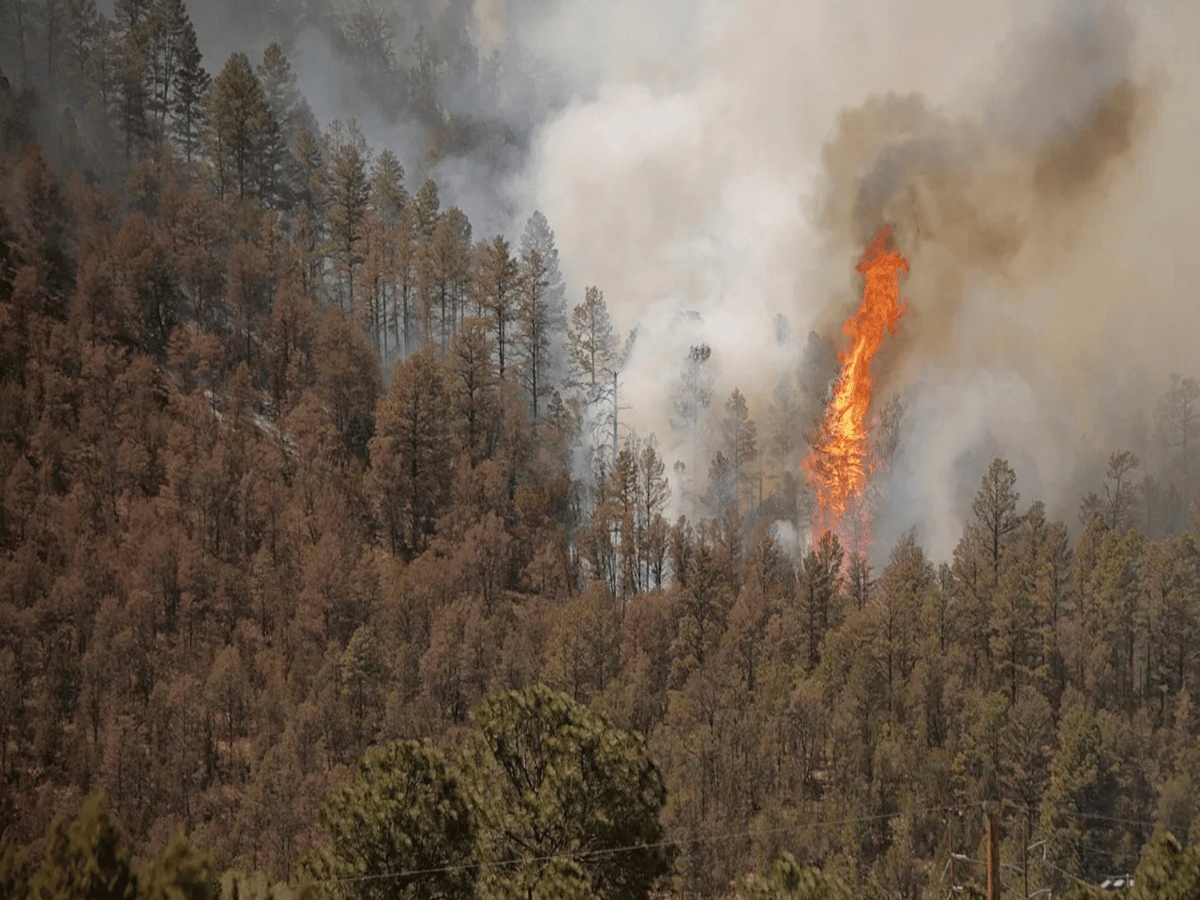 wildfires in New Mexico