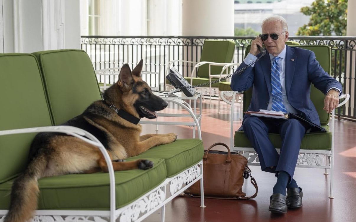 Biden’s dog Commander bit Secret Service Agents at least 24 times: Report 