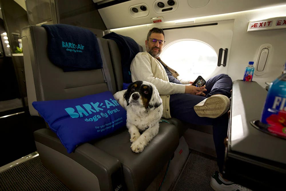 What is BARK Air? The world's first doggy jet service to offer VIP experience for dogs