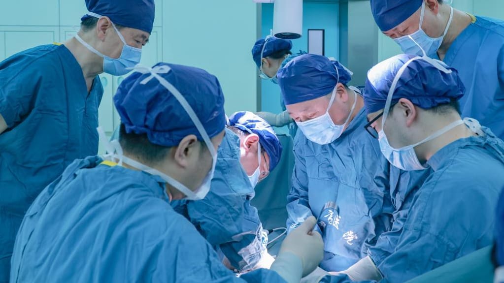 Chinese doctors successfully transplant gene-edited pig kidney into a brain-dead human patient