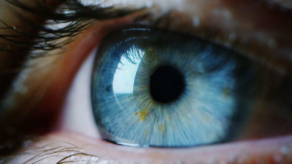 Eyes: The windows of the soul and health