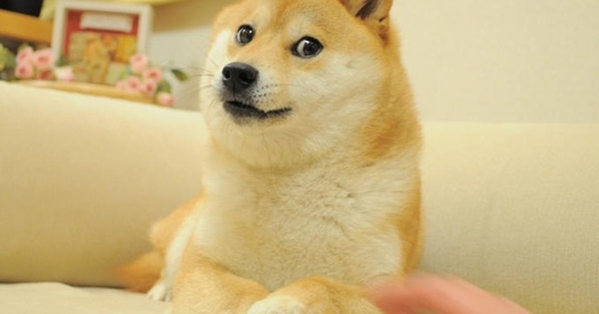 The Shiba Inu dog behind the doge meme turns 16