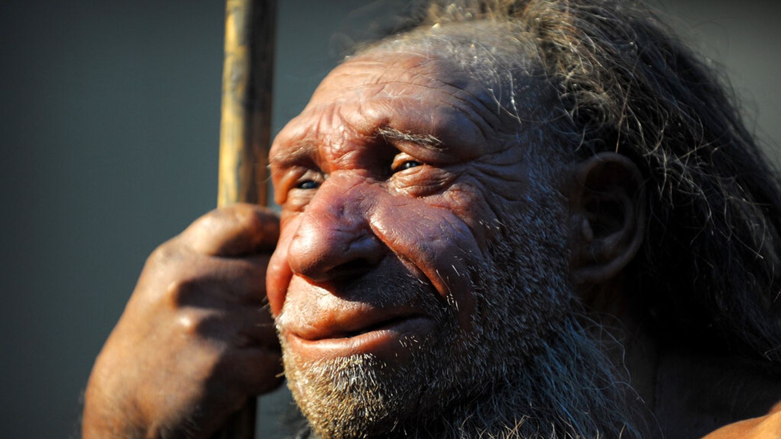 New study reveals how much Neanderthal DNA still exists in modern humans