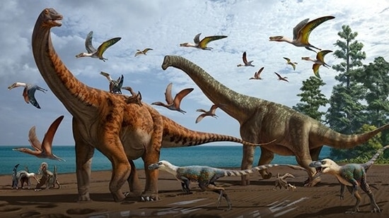 New species of dinosaurs found in China