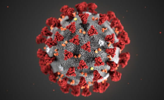 72-year-old succumbs after record 613 days with COVID; virus mutated over 50 times