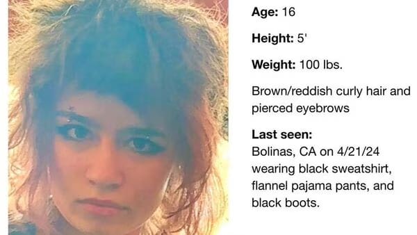 Missing Slack co-founder's daughter Mint Butterfield found in San Francisco, ‘kidnapper’ arrested