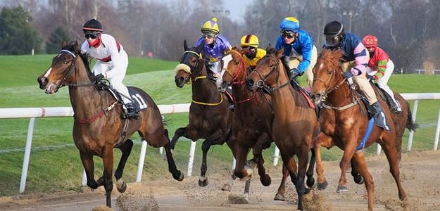 Here's proof that Racehorses aren't aware that they're racing