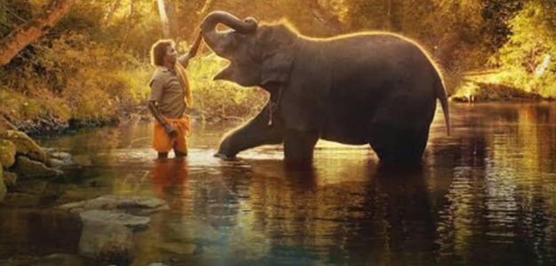‘The Elephant Whisperers’: When and where to watch  Oscar-winning film