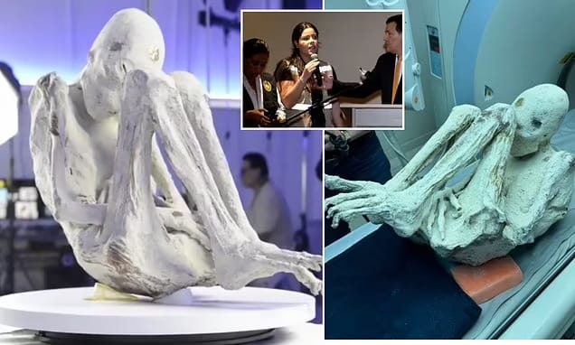 Peru: 'Alien mummies' press conference turns chaotic after ufologist unveils 'pregnant' specimen