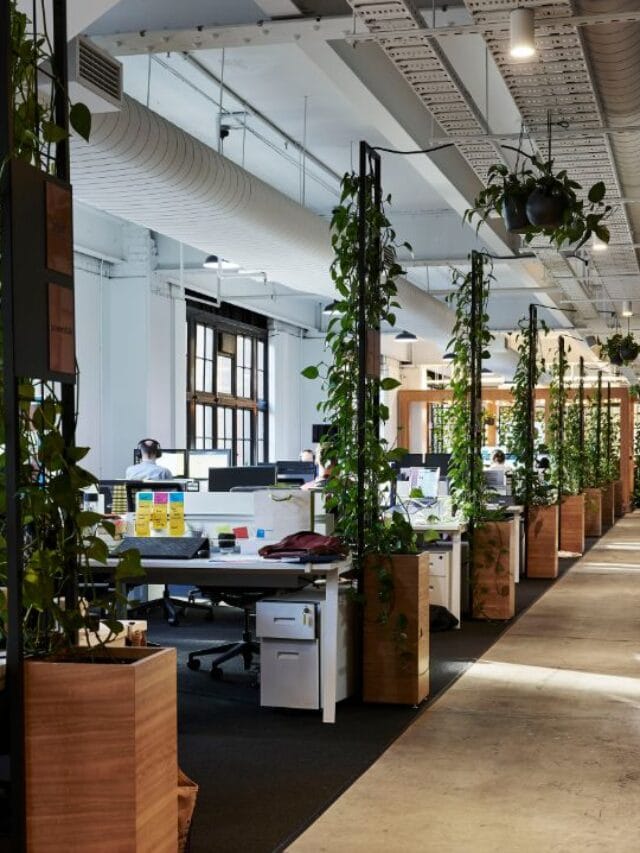 5 ways one can transform their workspaces for a greener tomorrow