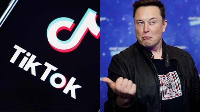 "TikTok should not be banned in the US": Elon Musk