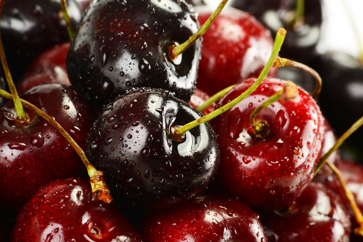 World’s heaviest cherry that weighs 33g grown by farmers in Italy