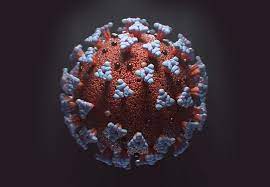 All about cytomegalovirus infection, a post-covid complication