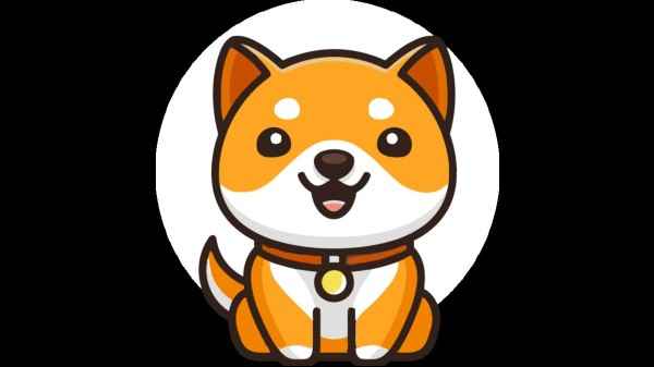 Baby Doge coin: All about Musk’s brand new favorite cryptocurrency