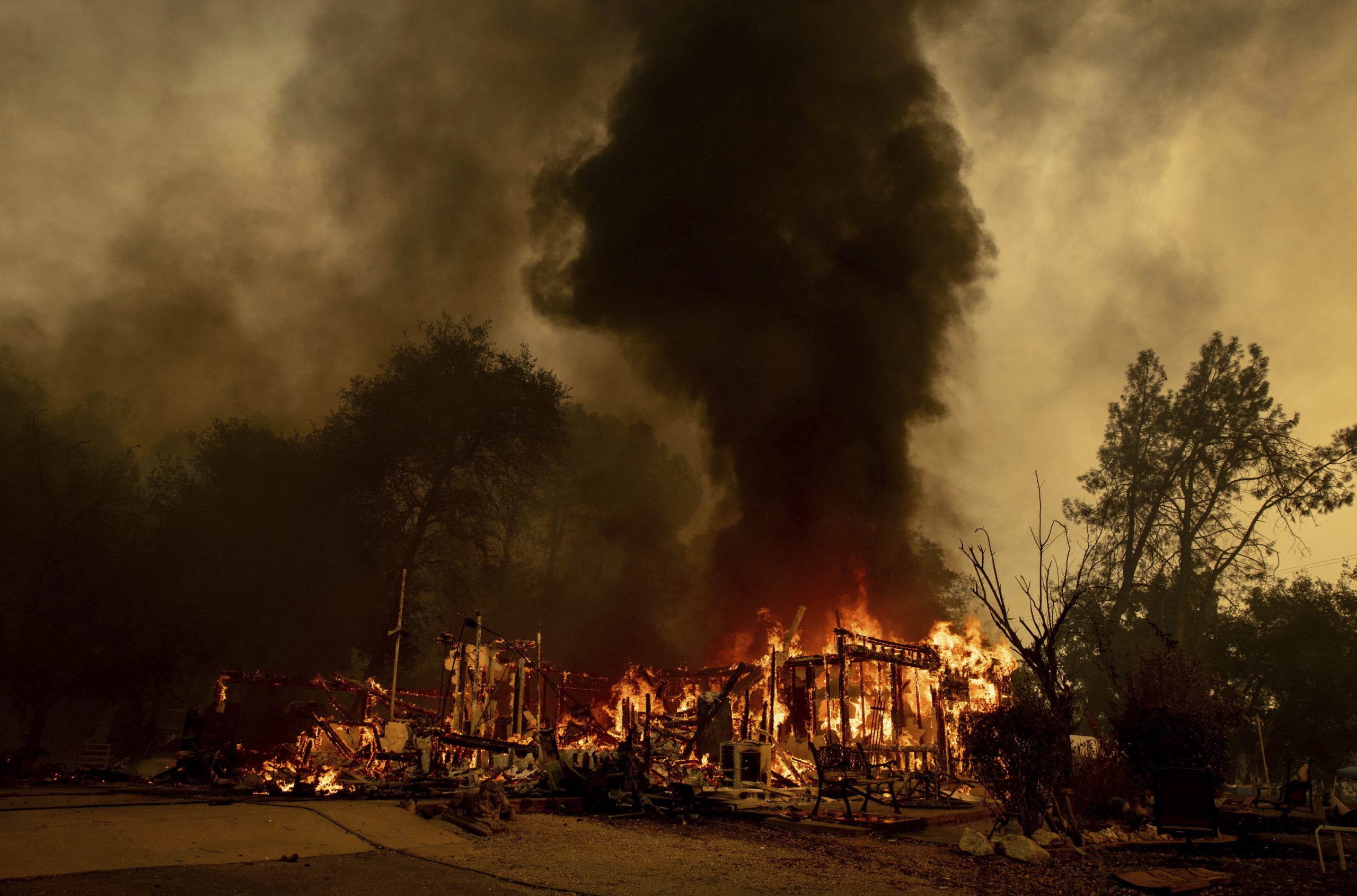 California woman charged with causing wildfire while trying to boil bear urine to drink