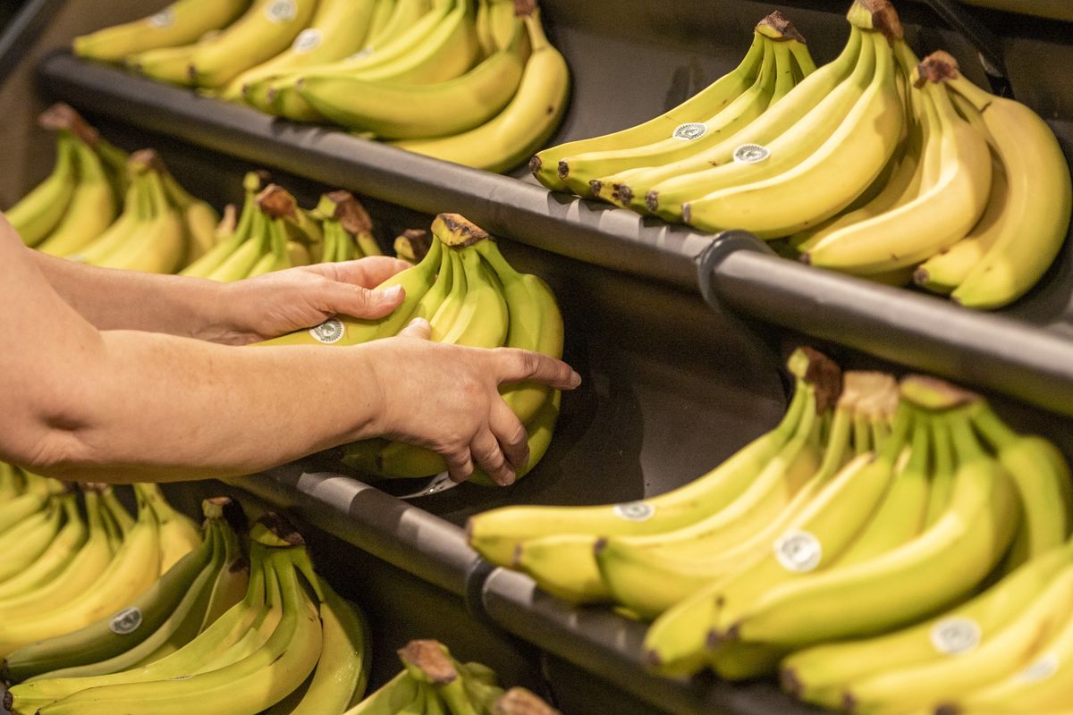 Turkey is deporting Syrian refugees for posting TikTok videos of them eating bananas