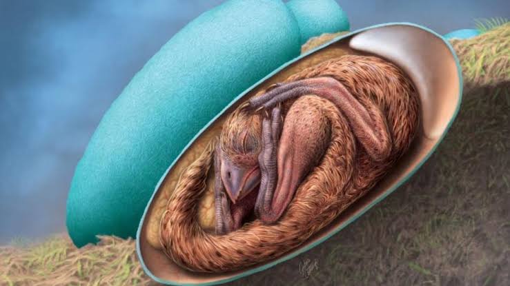 Perfectly preserved baby dinosaur found inside fossilized egg from 72 million years ago
