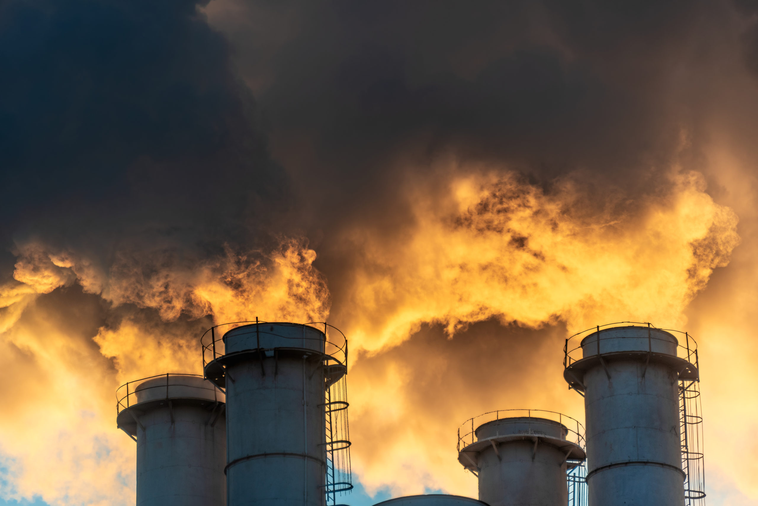 2021 was the world’s fifth-hottest year on record: EU scientists
