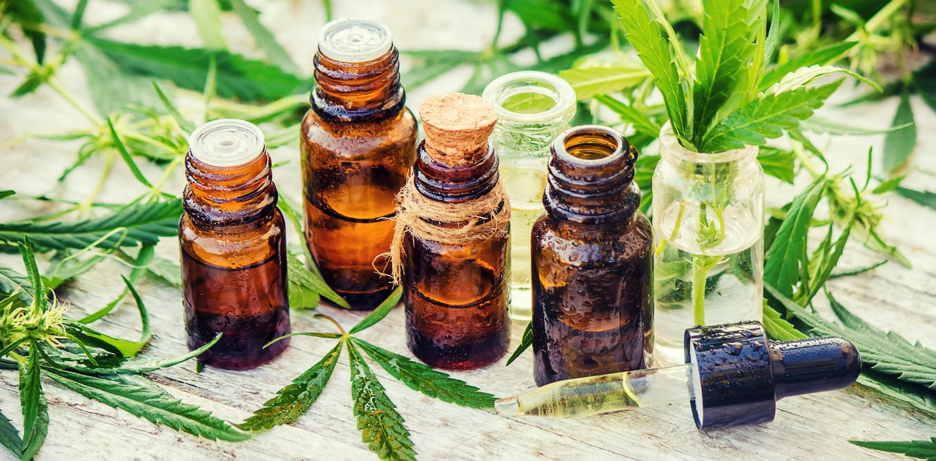Can weed cure COVID-19? Cannabis compound CBD stops coronavirus in test tube