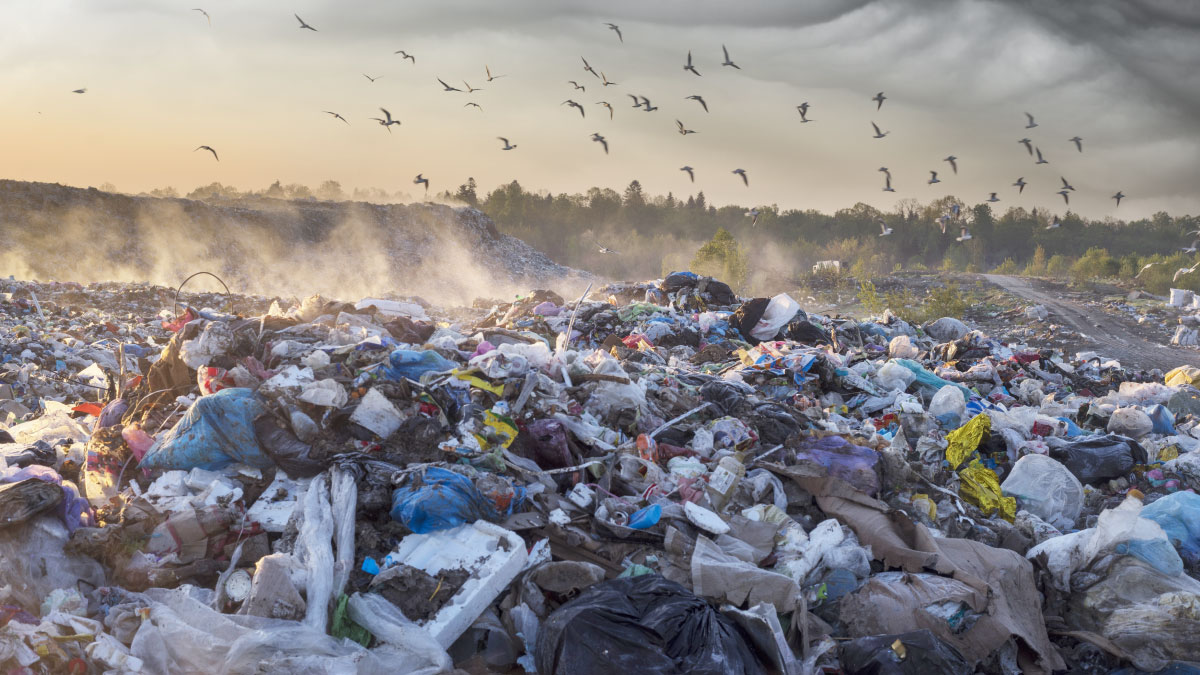 Pollution causing more deaths than COVID-19, action needed: U.N. expert