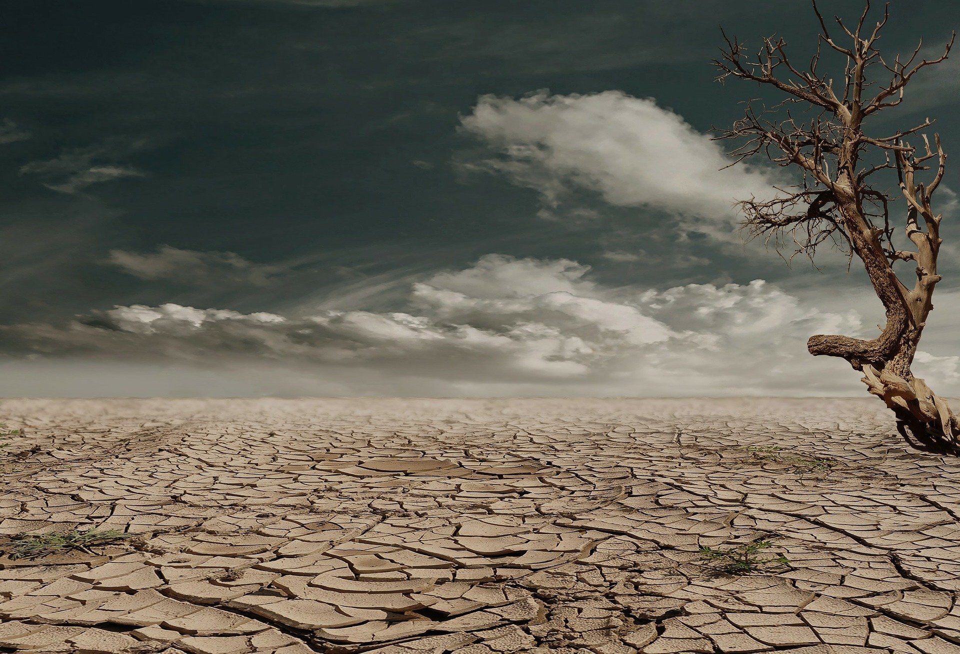 West megadrought worsens to driest in at least 1,200 years