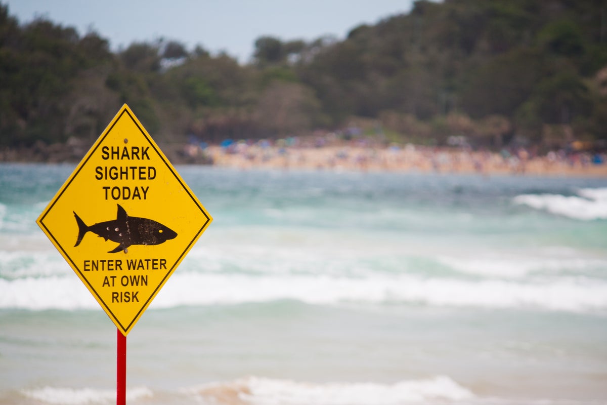 Shark kills swimmer in Australia’s Sydney; first fatal attack since 1963