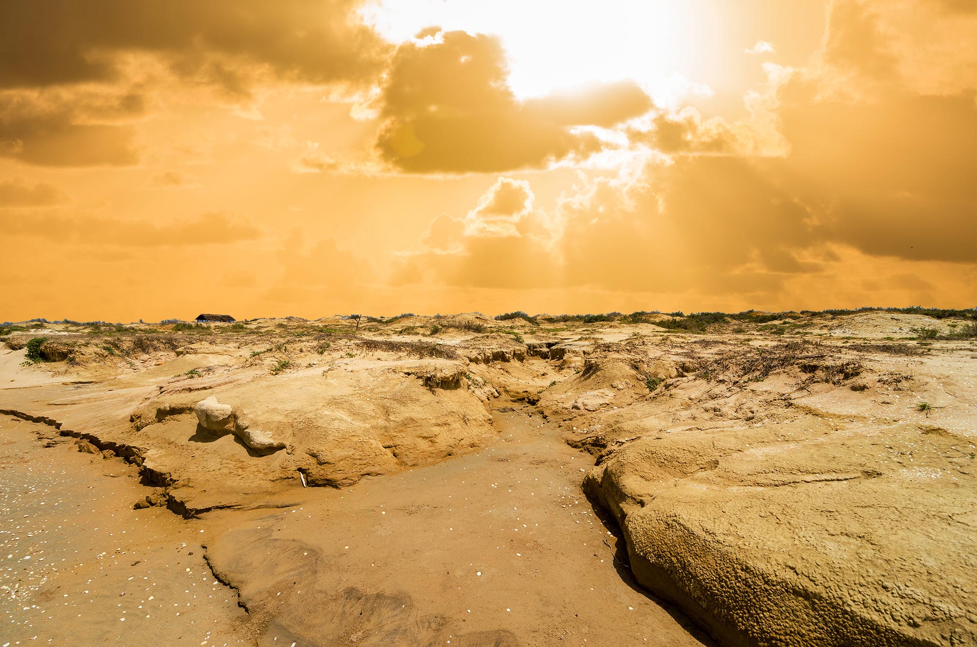 Scientists warn of climate catastrophe due to ‘unprecedented’ heatwaves at Earth’s poles