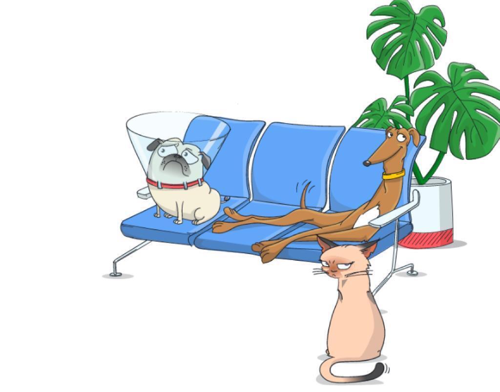 Animalia’s Pet Insurance Concept Is Penetrating the U.S. Market