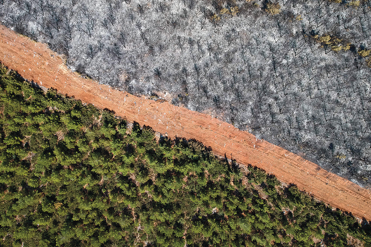 Climate report from UN calls for immediate, drastic action