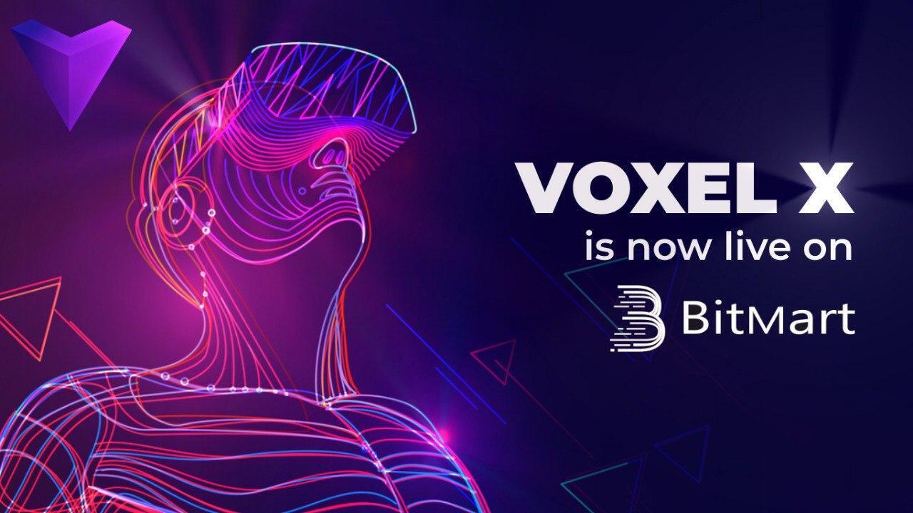 Voxel X Network Primed to Become the Largest Community-Driven GameFi & Metaverse Ecosystem