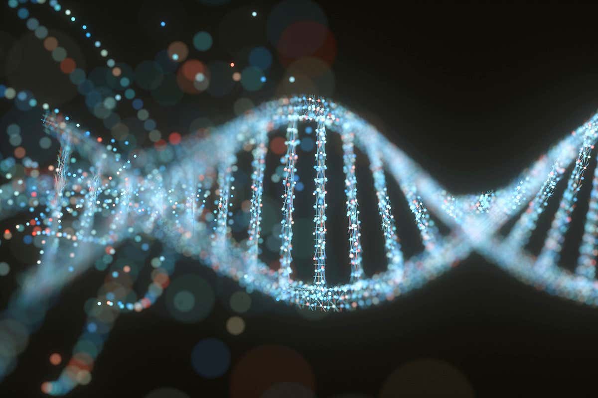 Scientists publish the first complete human genome