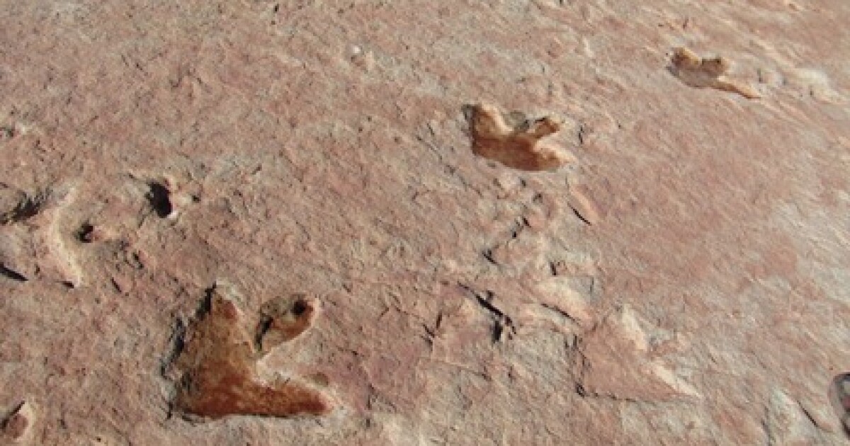US agency acknowledges damage to dinosaur tracks in Utah