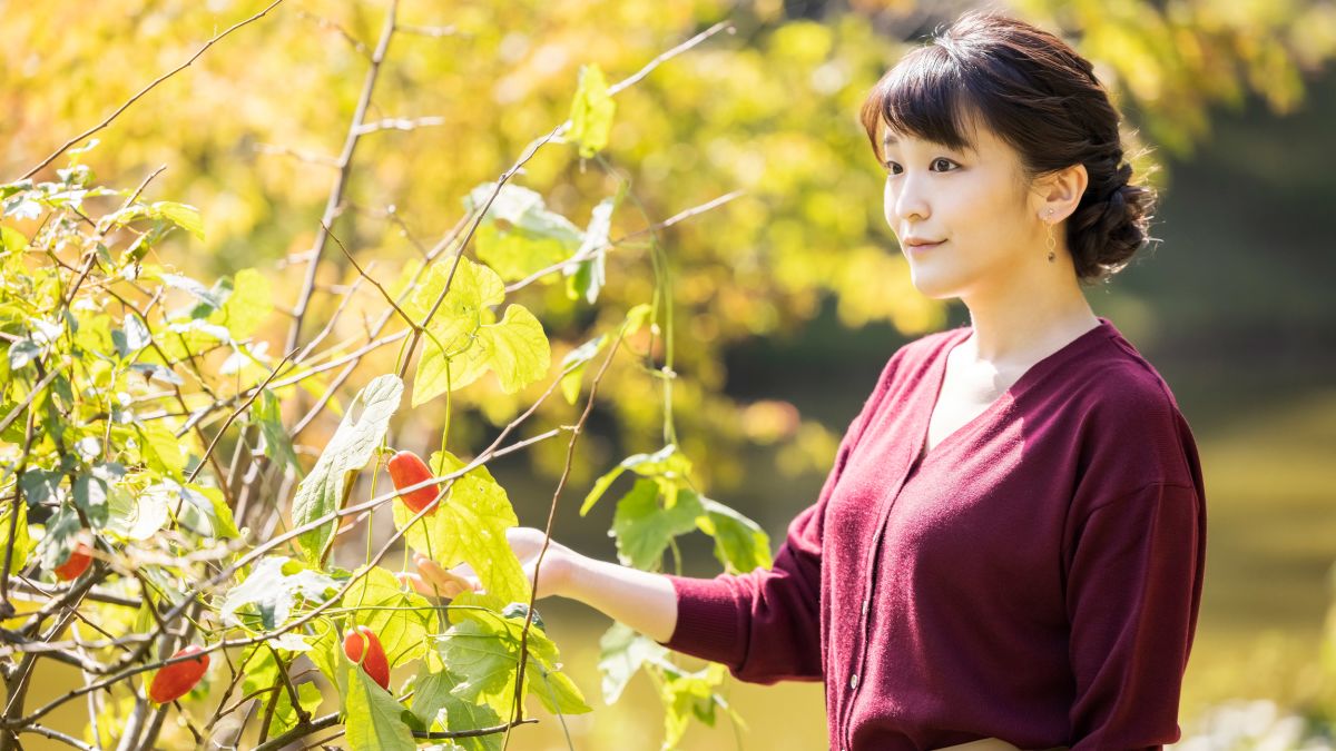 Former Japanese princess working as an unpaid volunteer at US museum