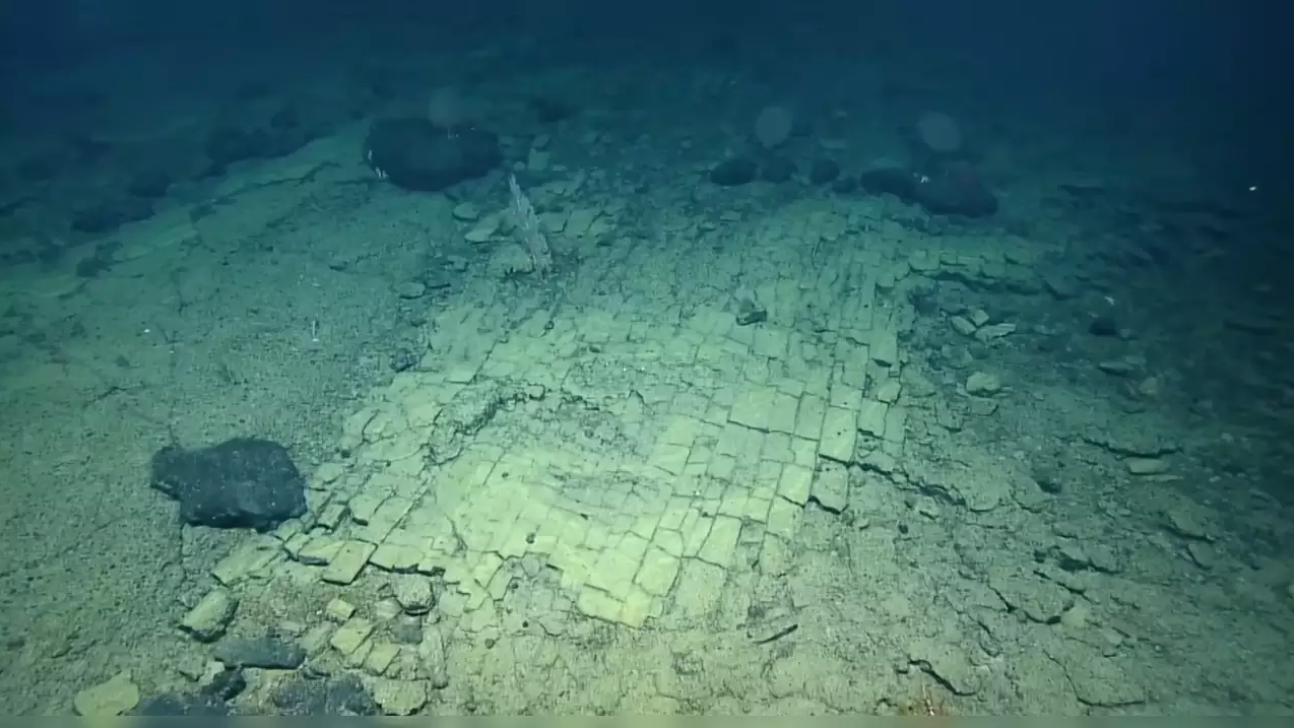 Unique ‘yellow brick road’ discovered at the bottom of the Pacific ocean