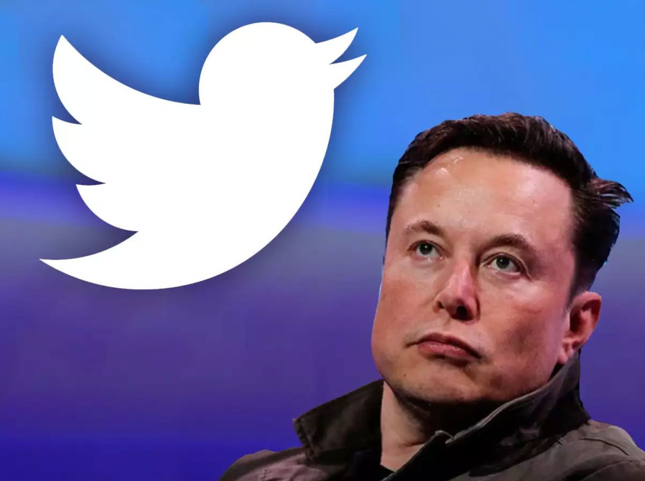 Breezy Explainer: Why has Elon Musk put the Twitter deal on hold?