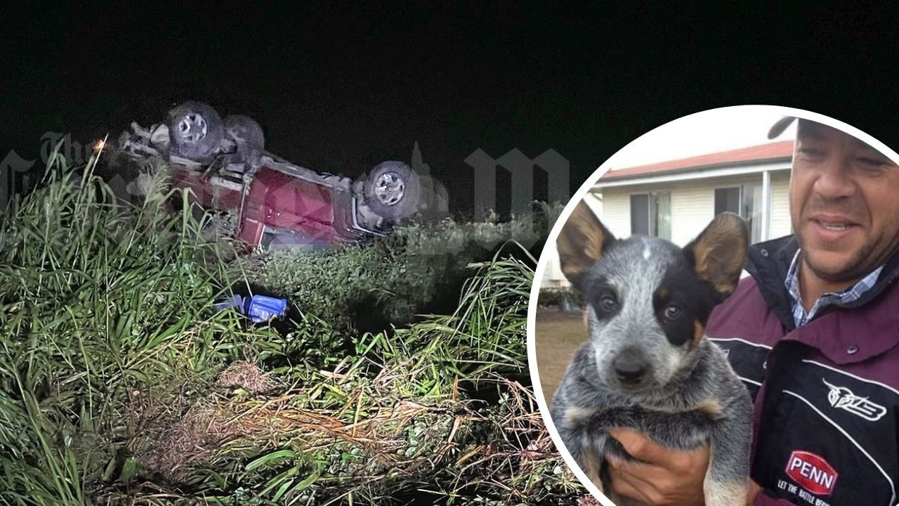 Andrew Symonds’ dog refused to leave his side during a desperate attempt to save his life