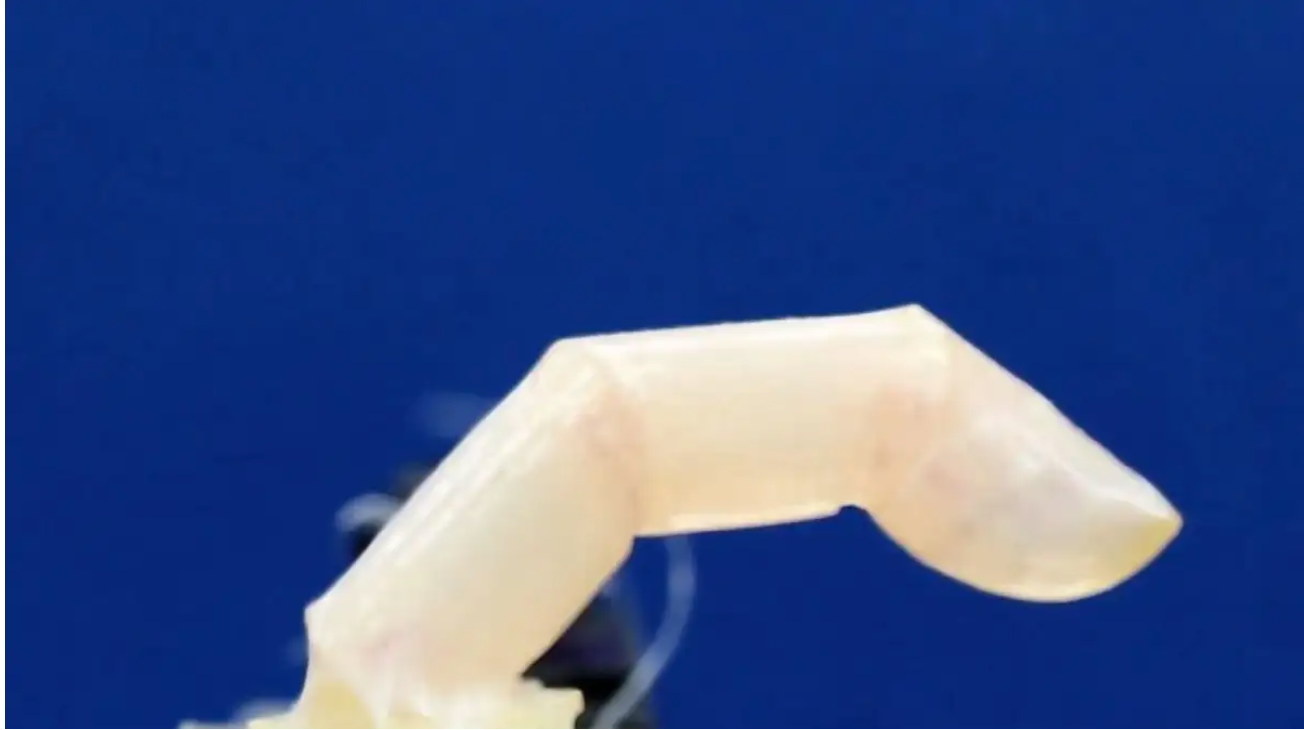 Biohybrid: Scientists create human-like skin for robots