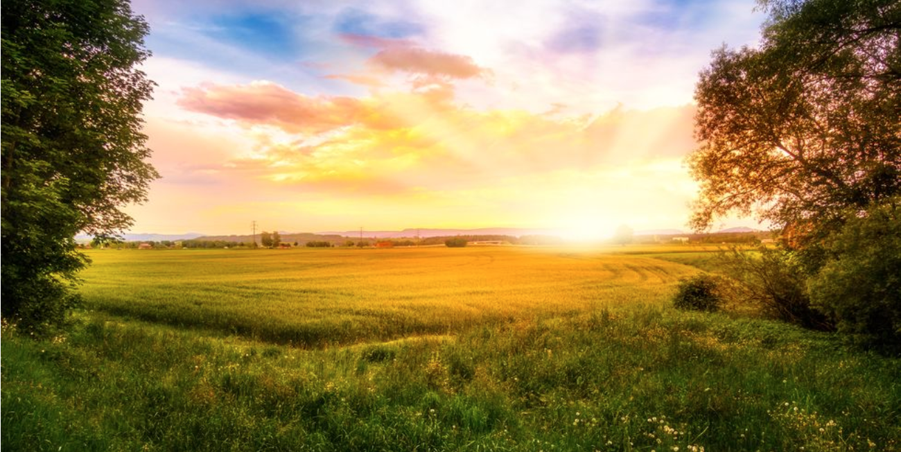 Unable to wake up early enough? Here are 5 powerful insights that can help you￼