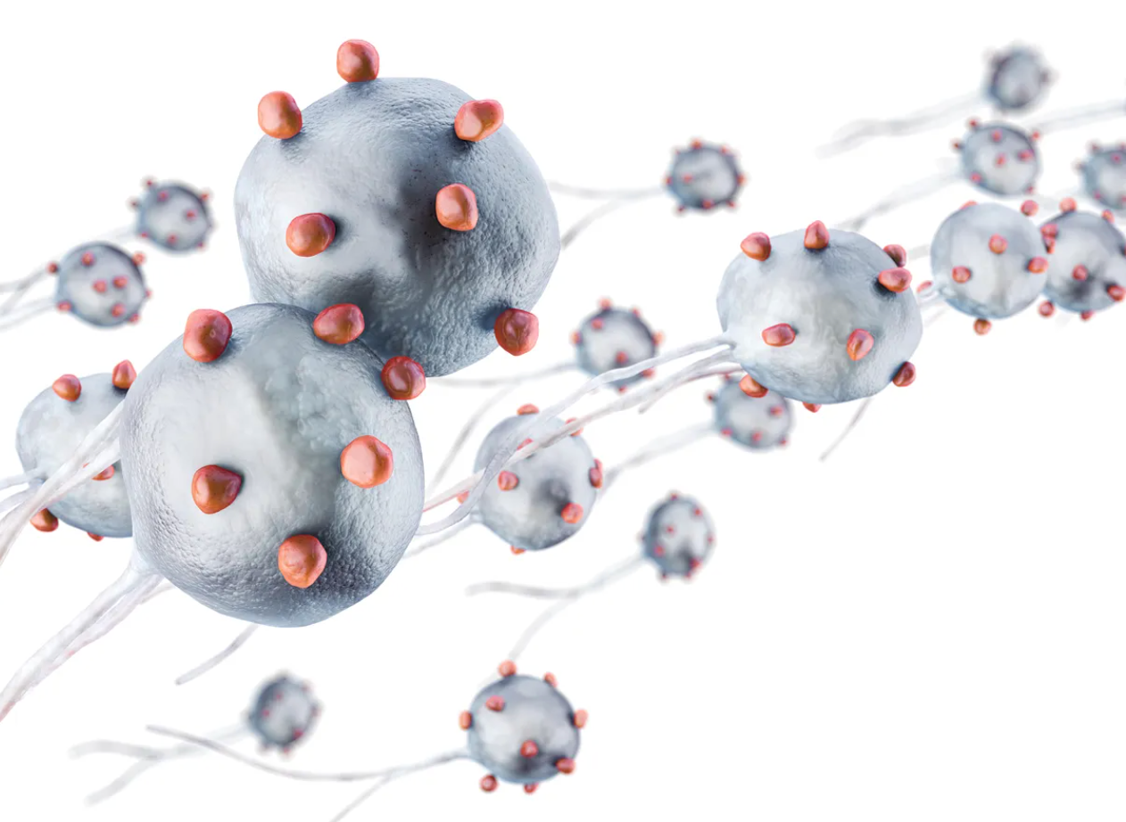 Scientists develop magnetically-controlled microscopic robots that can kill cancer cells